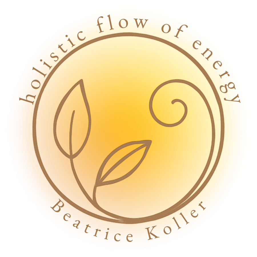 holistic flow of energy Logo